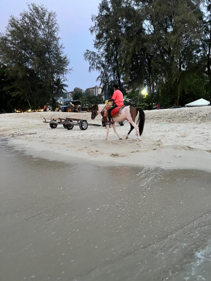 By The Sea Beachfront Designer Penang - Managed By Art Of Tree * Batu Ferringhi