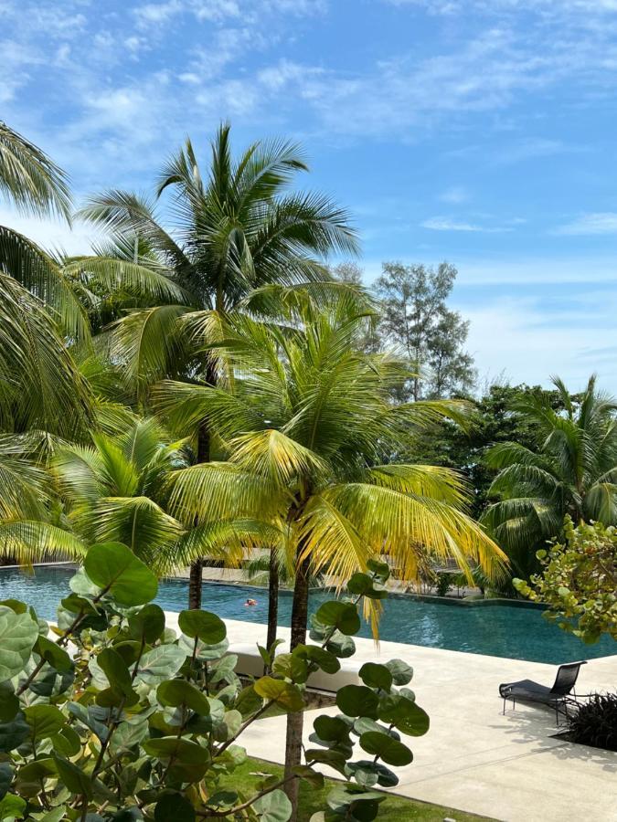By The Sea Beachfront Designer Penang - Managed By Art Of Tree Apartment Batu Ferringhi